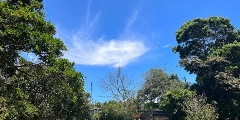 425762726_875658744566510_1065636240527135873_n