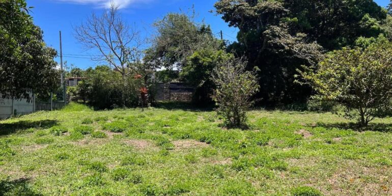 425762741_875658807899837_2923543728951578866_n