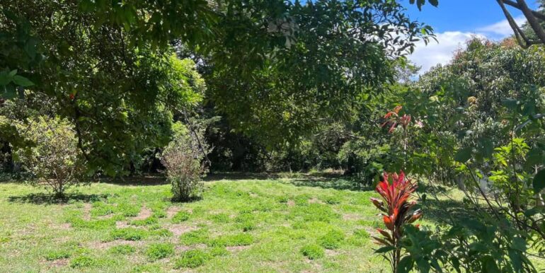 425766902_875658761233175_6202566083325452343_n