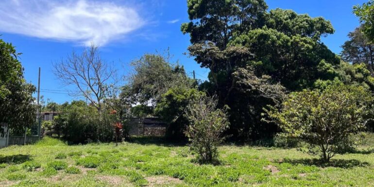 425767478_875658524566532_9171742186714429617_n