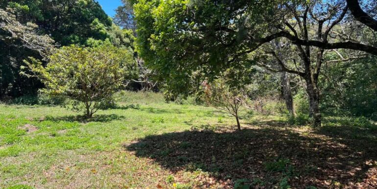 426284330_875658784566506_913215353279586845_n