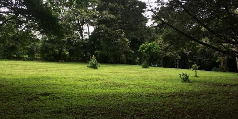 WhatsApp Image 2019-02-04 at 1.49.20 PM