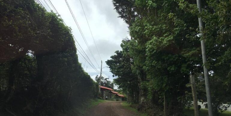 WhatsApp Image 2019-02-04 at 1.49.21 PM