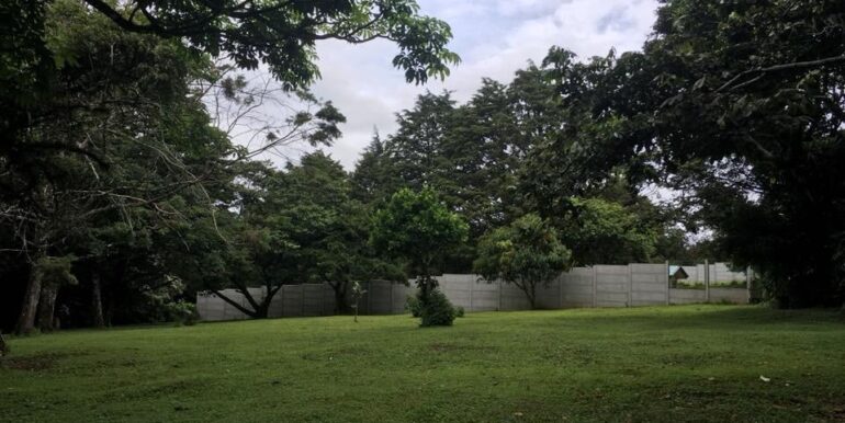 WhatsApp Image 2019-02-04 at 1.49.22 PM